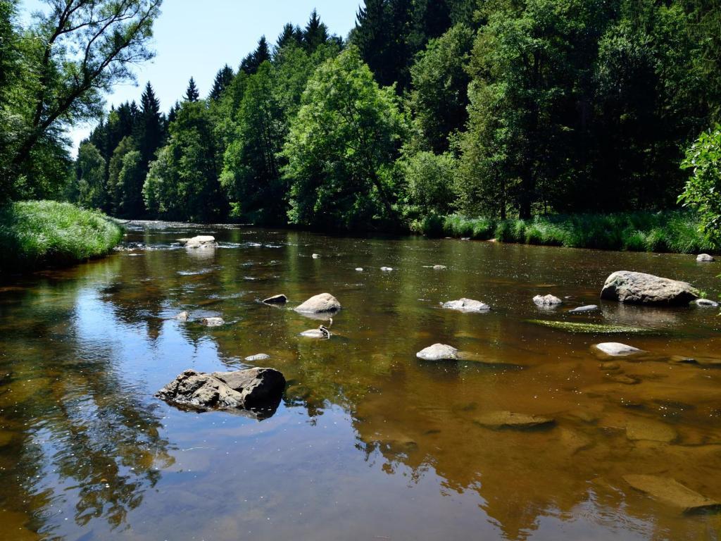 Ferienwohnungen Grill Шёнберг Номер фото